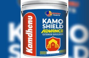 Kamdhenu paints