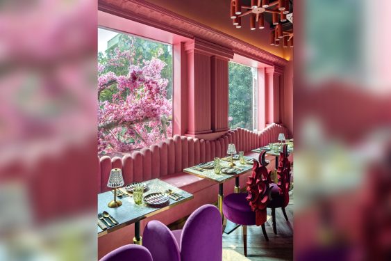 A Square Designs, Pink Environment in Restaurant _ ACE