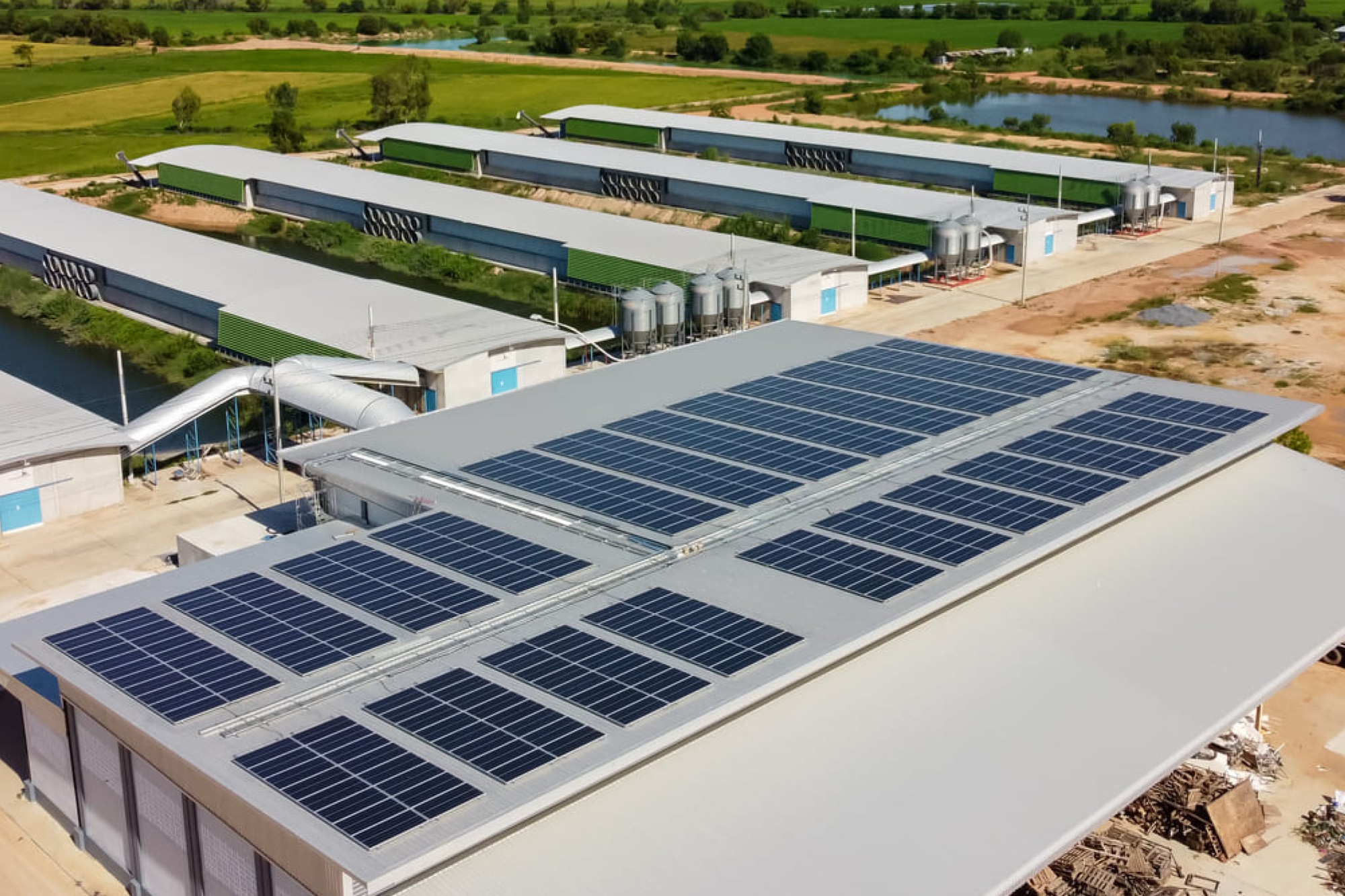 Waaree Energies and Ecofy collabs to accelerate solarisation in India