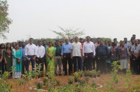 Danfoss India promotes land restoration and sustainability