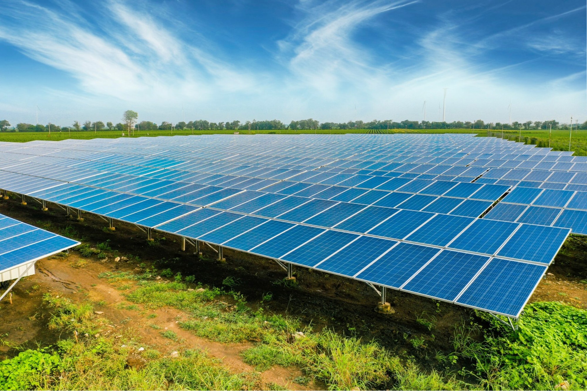 Odisha takes green leap with mega solar project